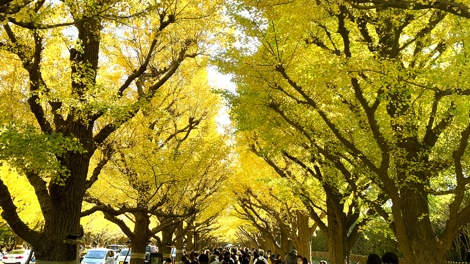 南青山ハウス 周辺風景
